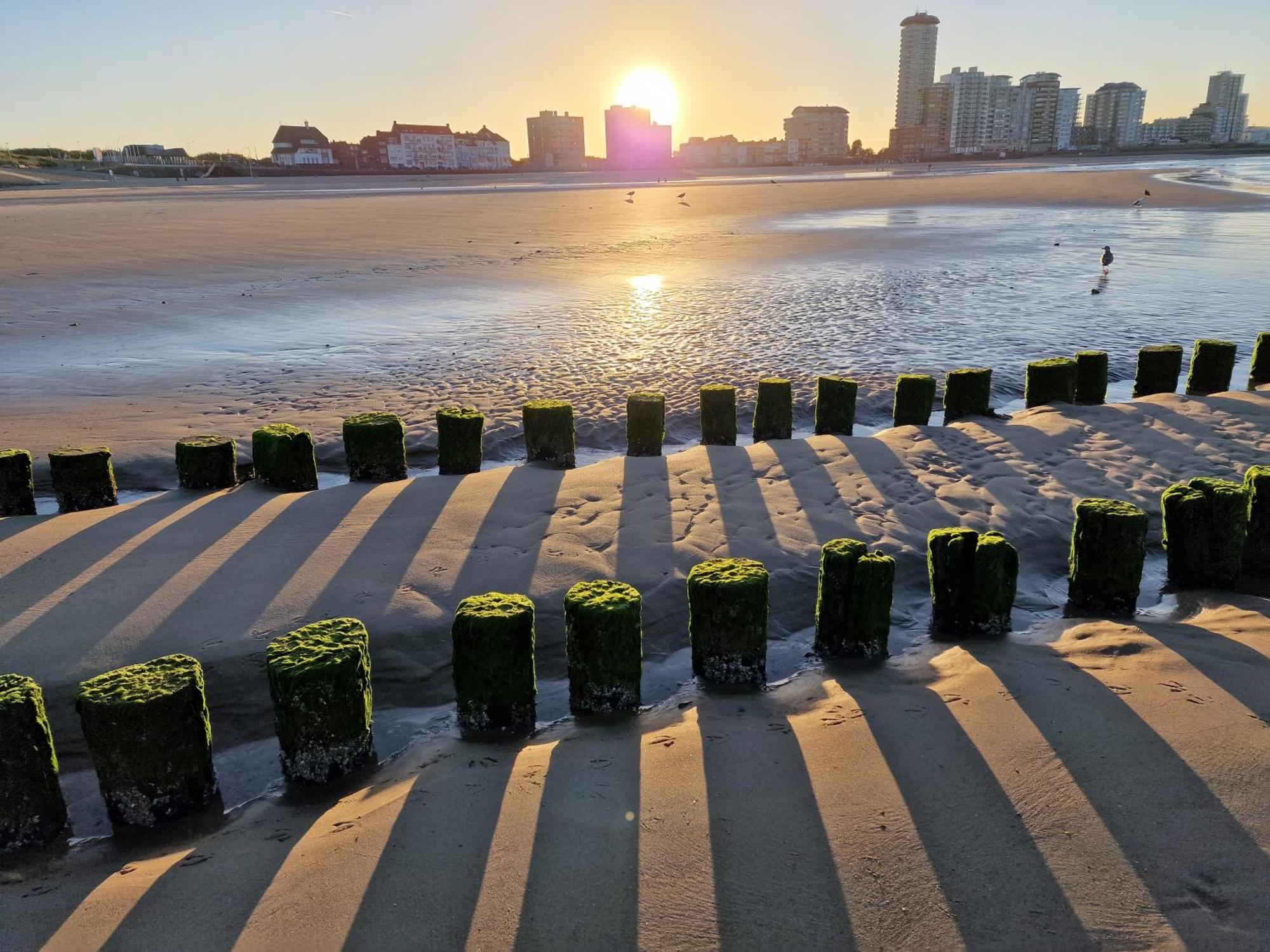 فليسينْخين B&B Van Zon Aan Zee المظهر الخارجي الصورة